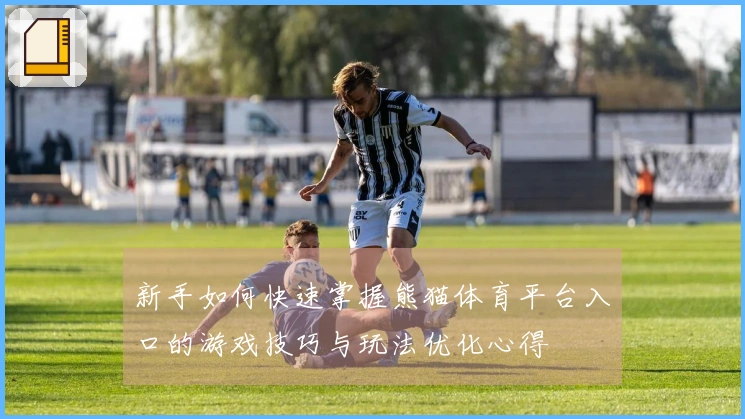新手如何快速掌握熊猫体育平台入口的游戏技巧与玩法优化心得