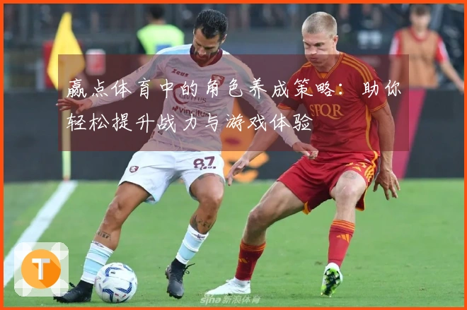 赢点体育中的角色养成策略：助你轻松提升战力与游戏体验