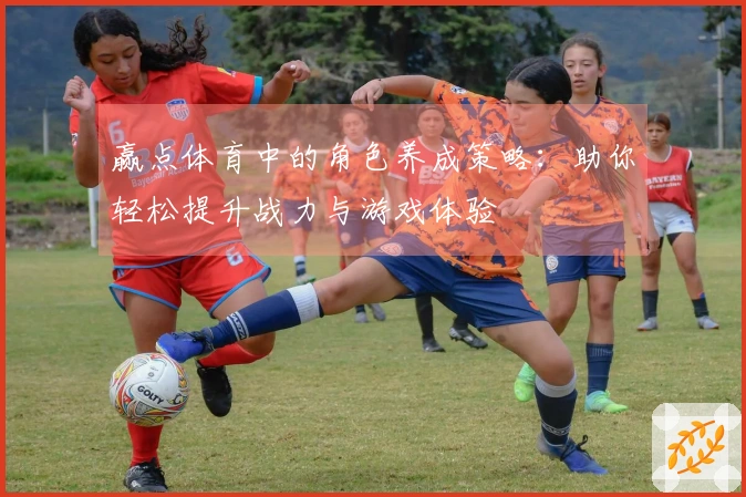 赢点体育中的角色养成策略：助你轻松提升战力与游戏体验